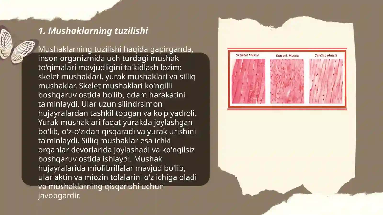 Mushaklar. Asab tolalari va sinapslarning fiziologiyasi 3