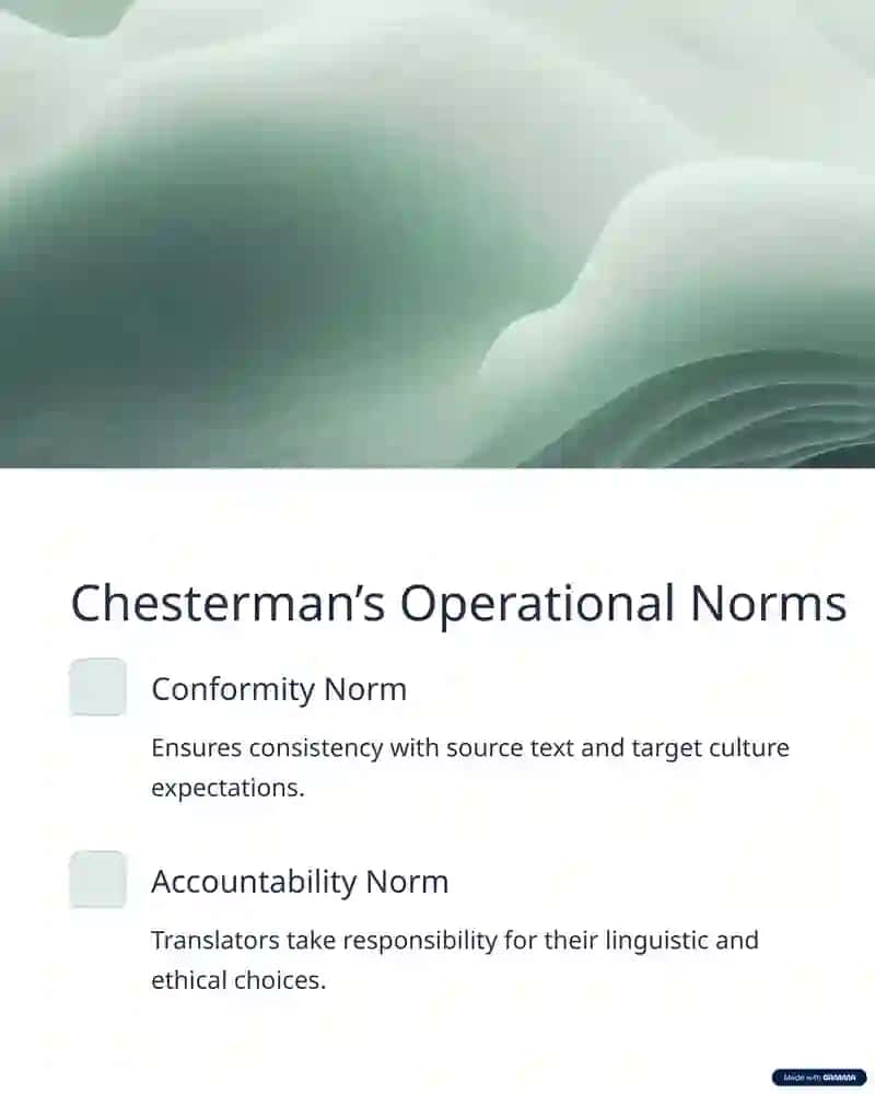 Chesterman's Translation Norms 3