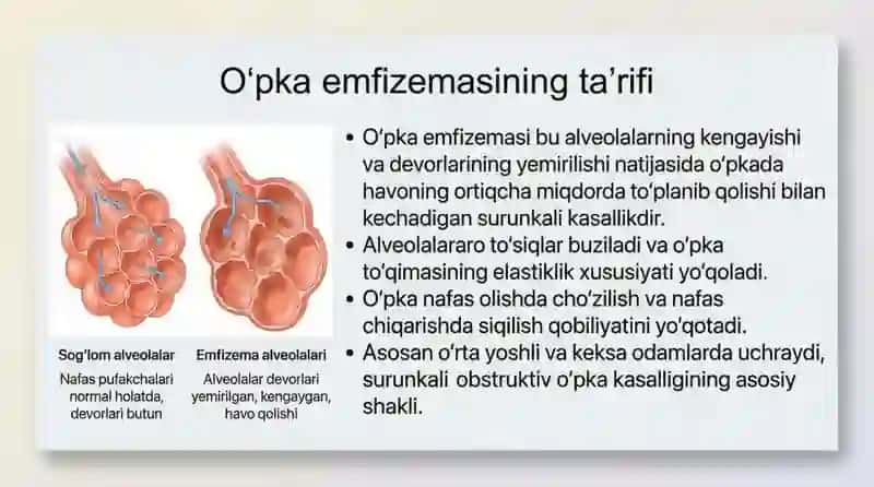 Oʻpka emfizemasi 3