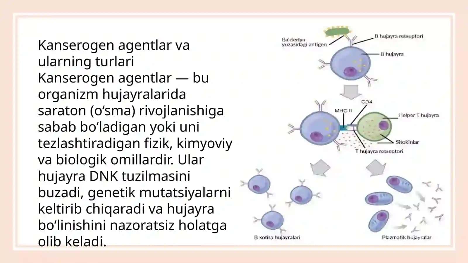 Kanserogen agentlar va ularning hujayralar bilan o‘zaro ta’siri. O‘sma immuniteti 3