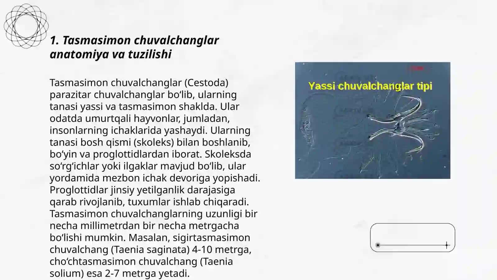 Tasmasimon chuvalchanglar tipi 3