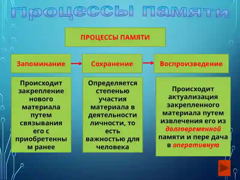 ПАМЯТЬ ВИДЫ 3