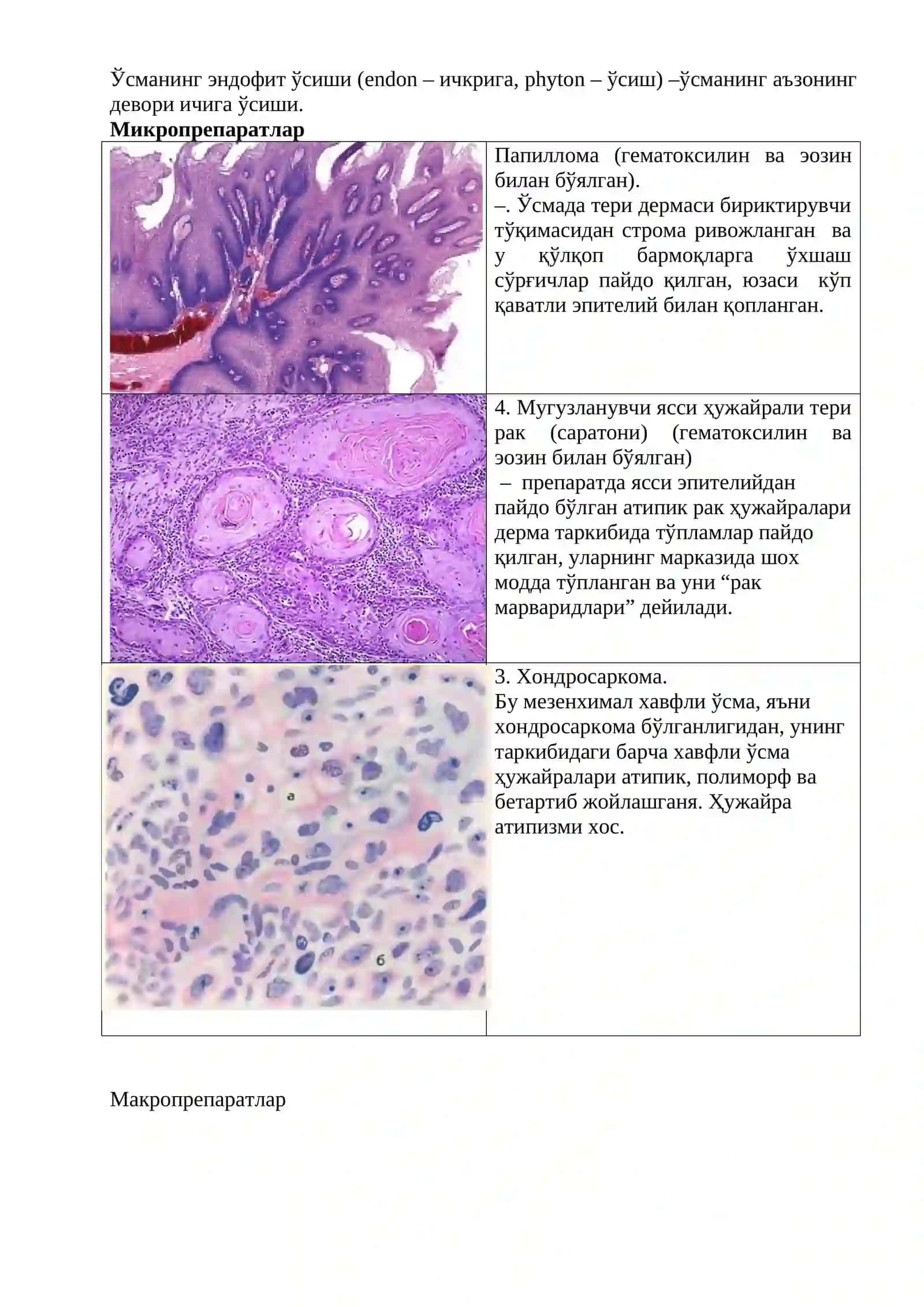 Neoplaziya va konzerogenezning molekulyar asoslari 3