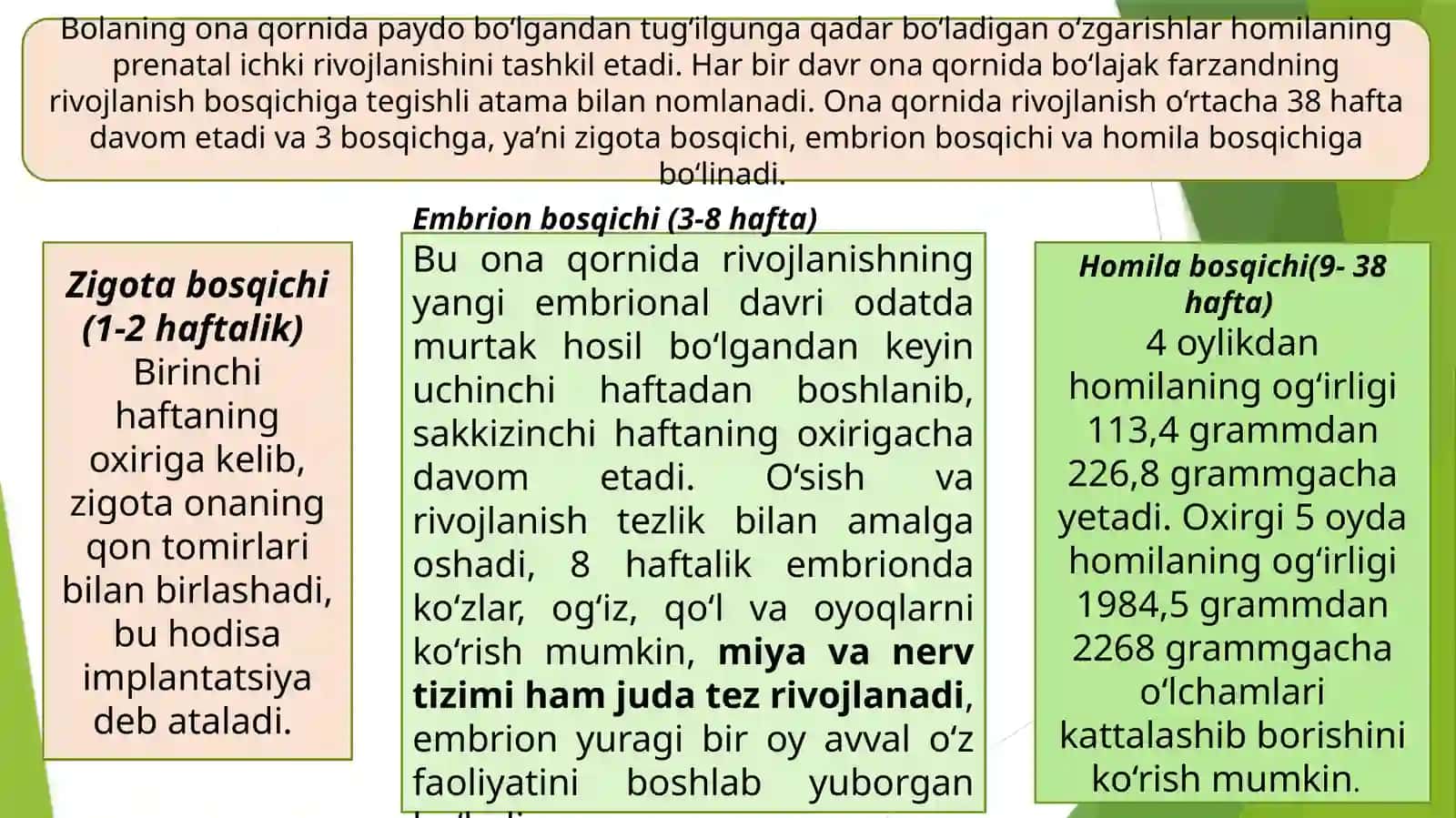 Ontogenezning ilk bosqichlarida, maktabgacha, kichik maktab yoshi davrida insonning psixik rivojlanishiga xos xususiyatlar 3