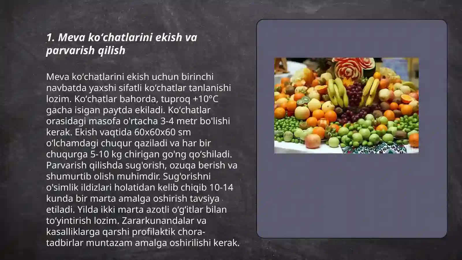 Meva koʻchatlari va hosilli bogʻlarga shakl berish ularni parvarish qilish 3
