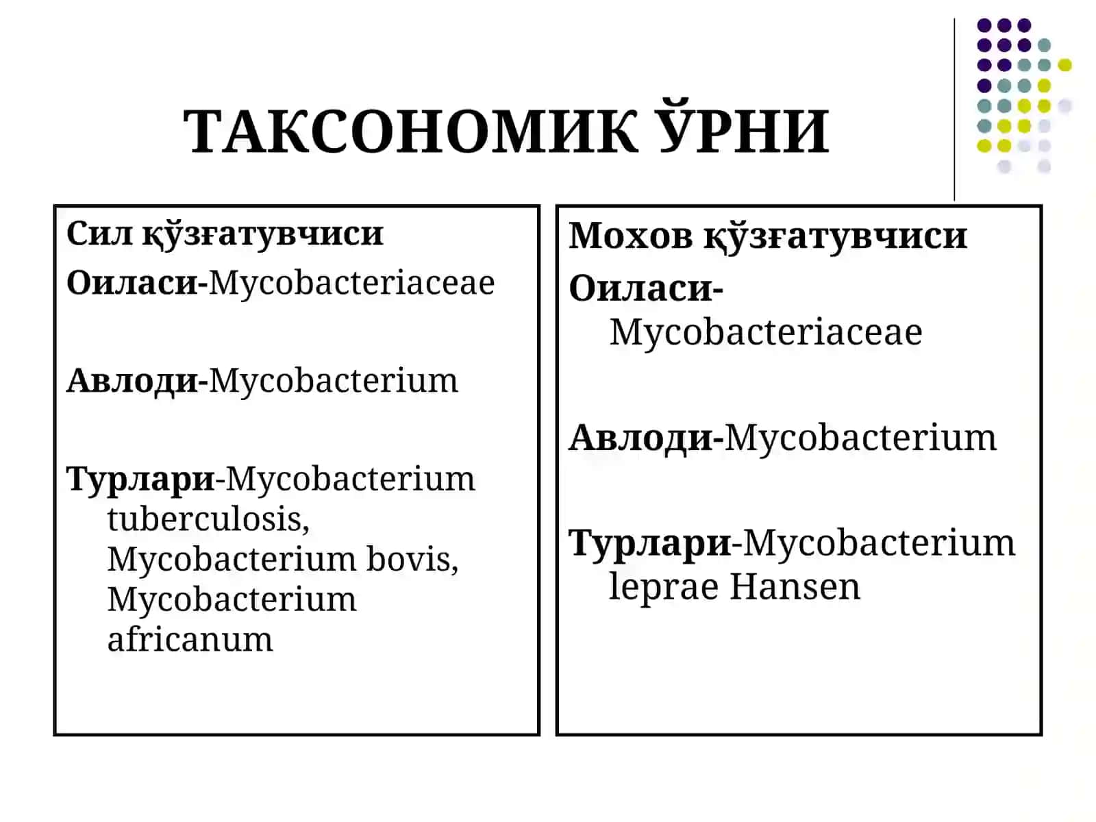 МИКОБАКТЕРИЯЛАР,СИЛ ВА МОХОВКАССАЛИКҚЎЗҒАТУВЧИЛАРИ 3
