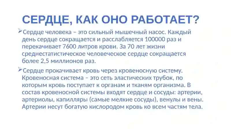 КадировЖавахир 3