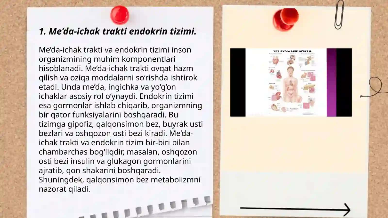 Me’da-ichaknayining endokrin xujayralari gistalogiyasi 3