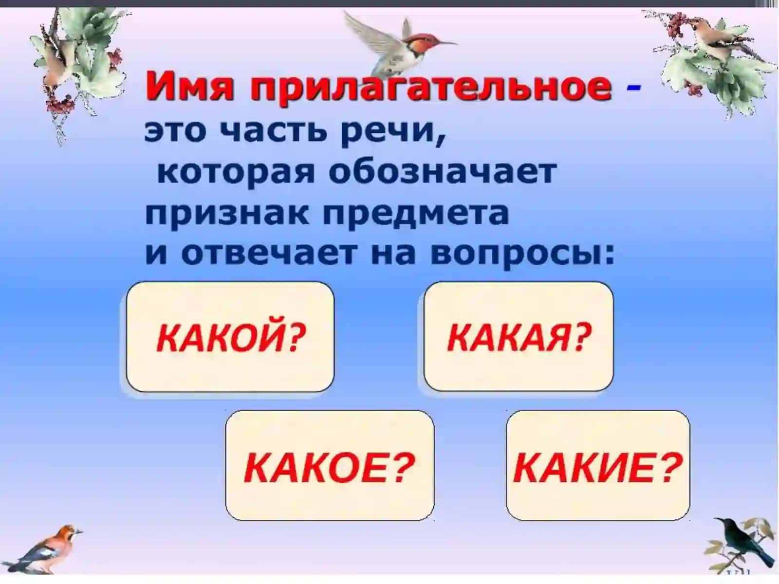 Имя прилагательное.Разряды и склоненияимен прилагательных 3