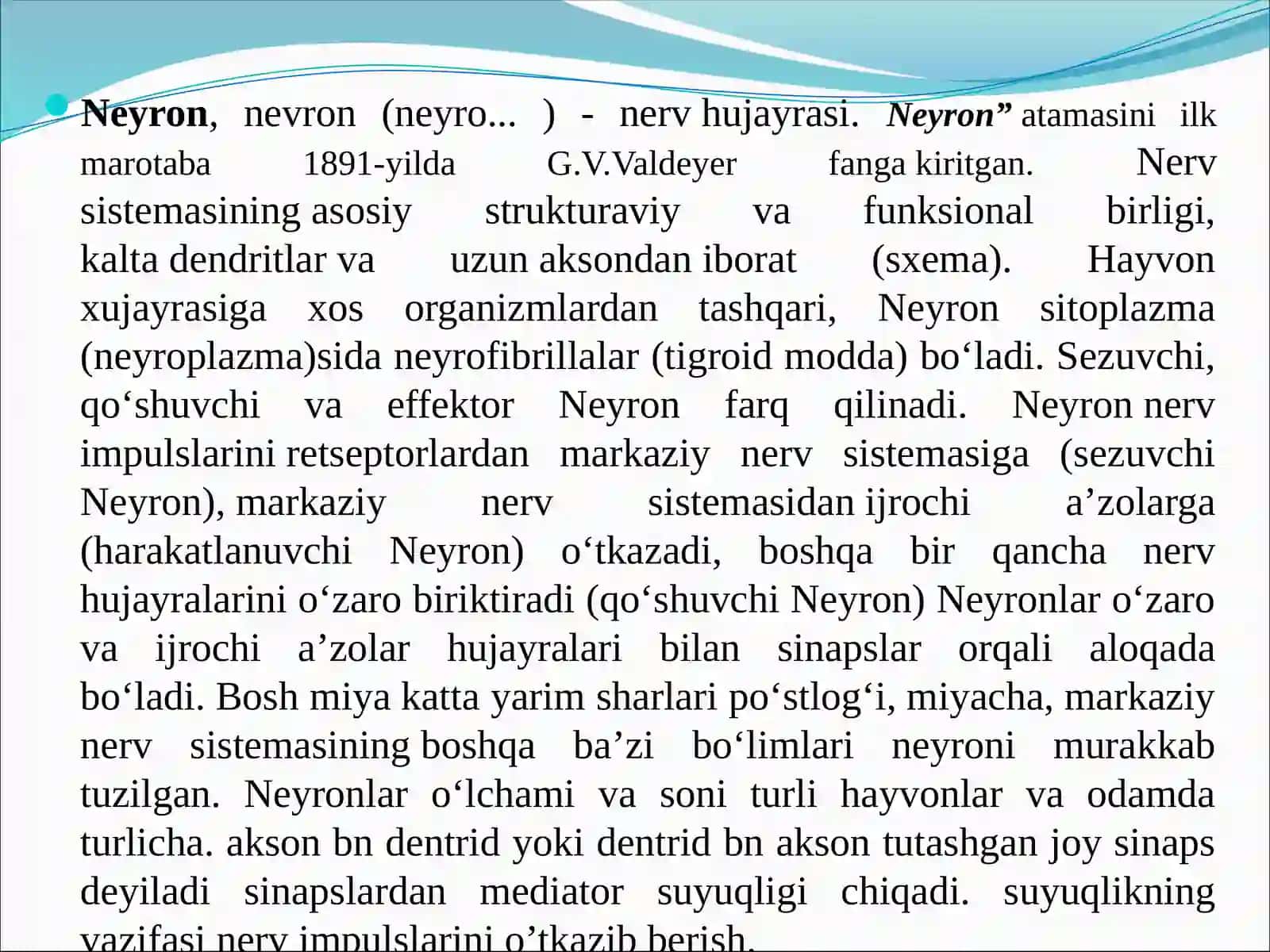 NEYRON TURLARI 3