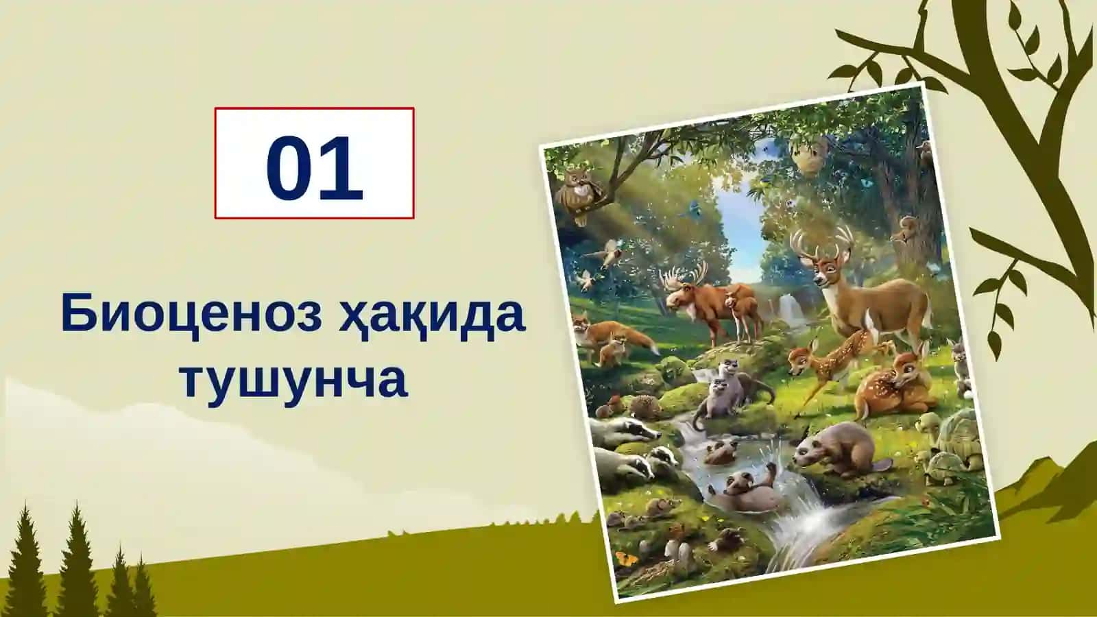 Жамоалар ҳақида таълимот(Биоценоз) 3