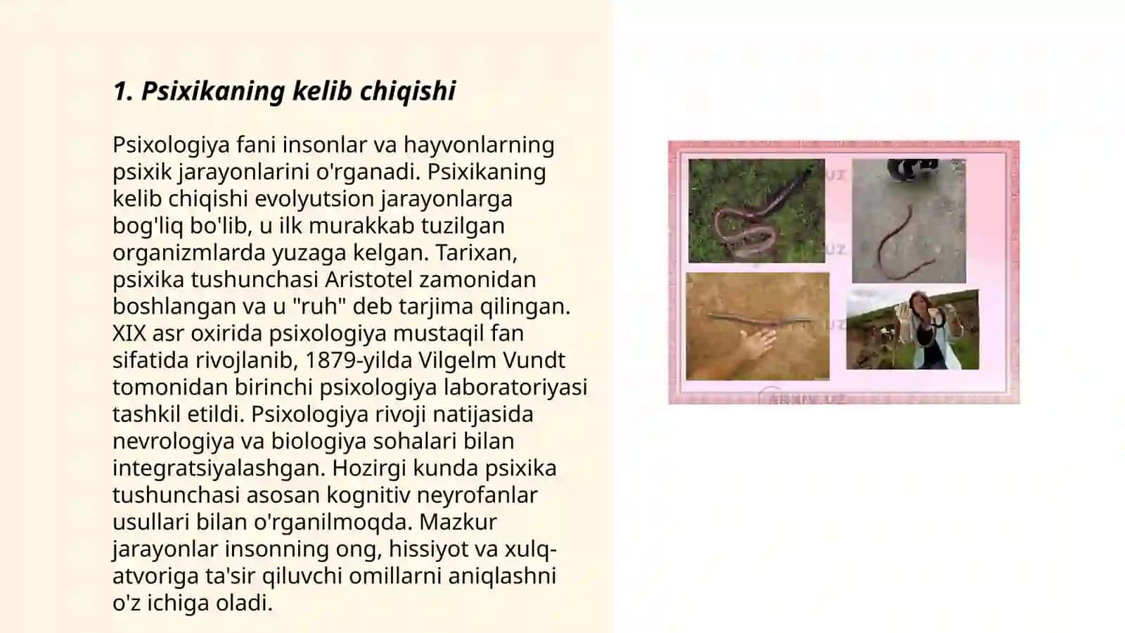 Psixikaning filogenetik taraqqiyoti 3