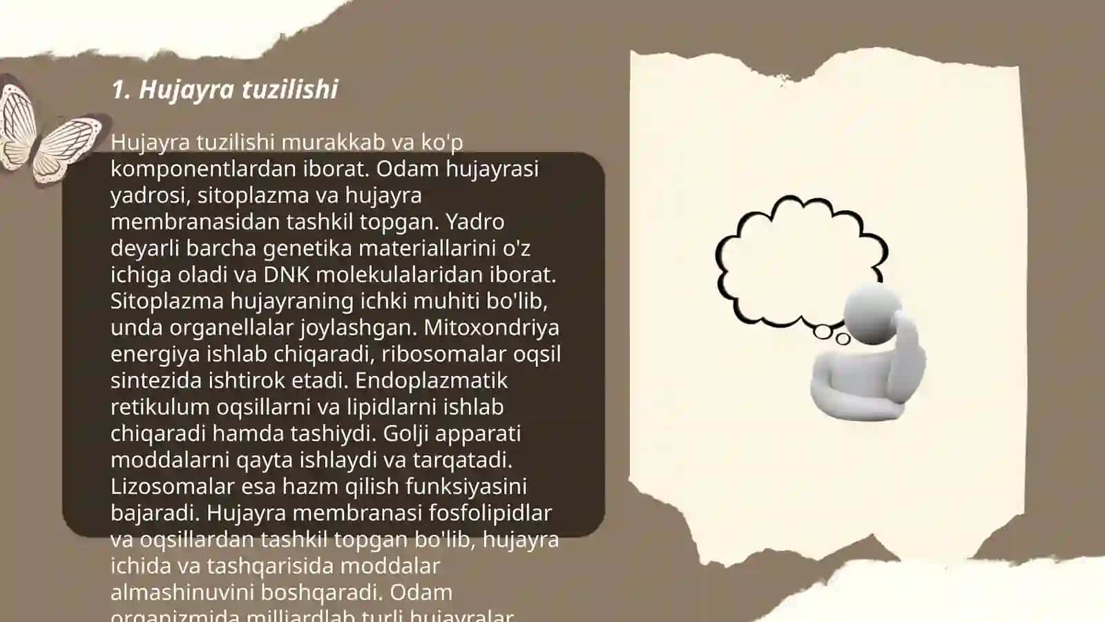 Hujayra 3