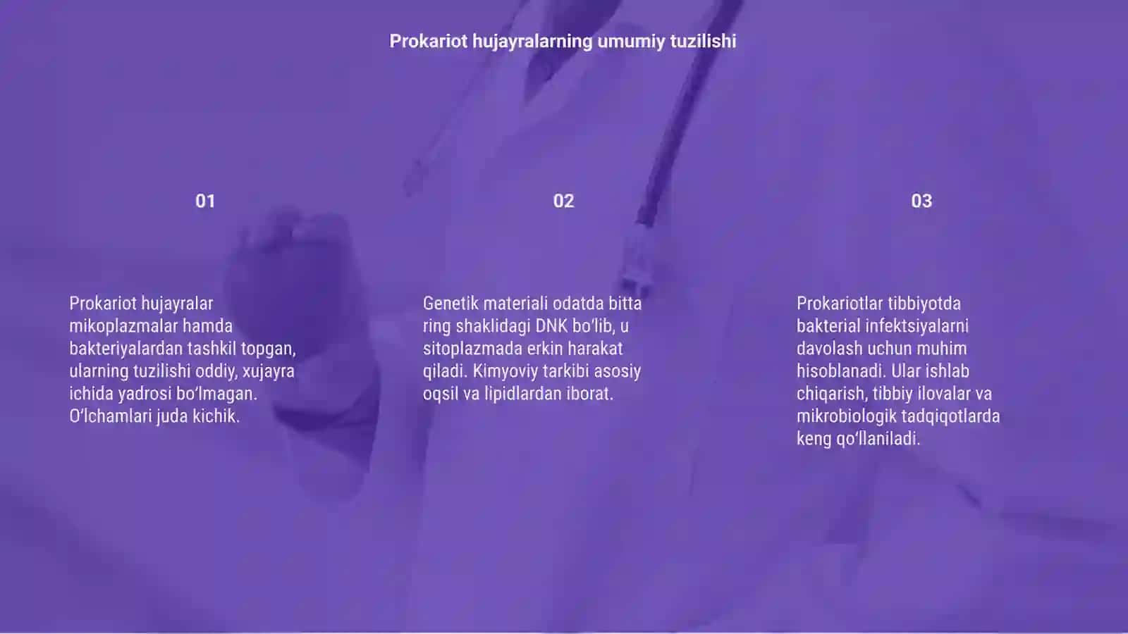 Prokariot hujayralarning tuzilishi 3