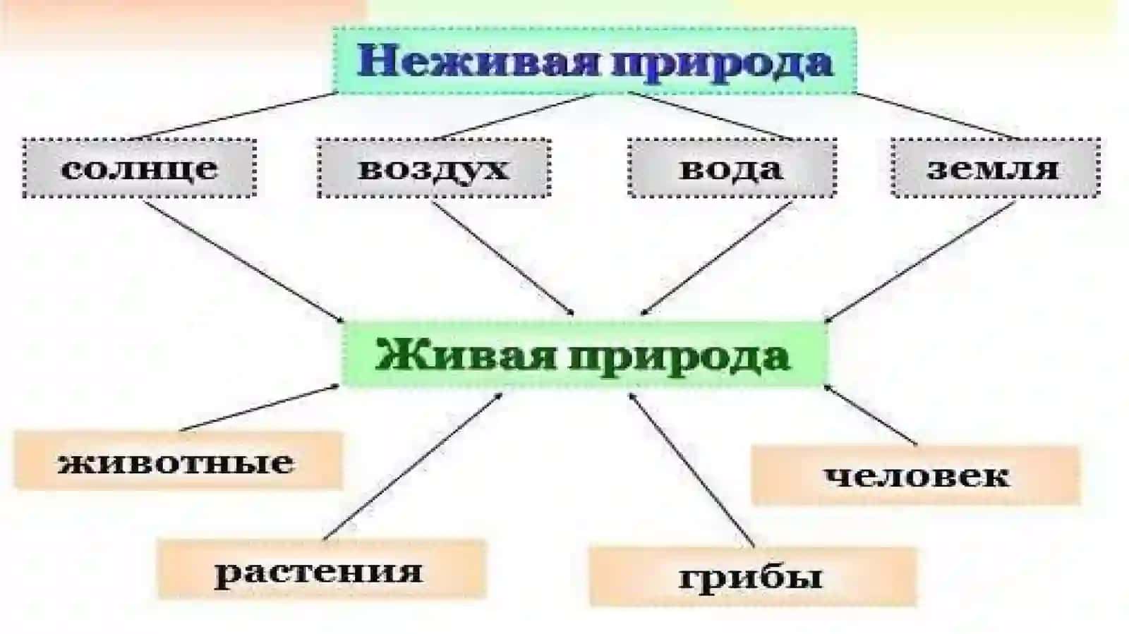 Роль природы в формировании личности дошкольника 3