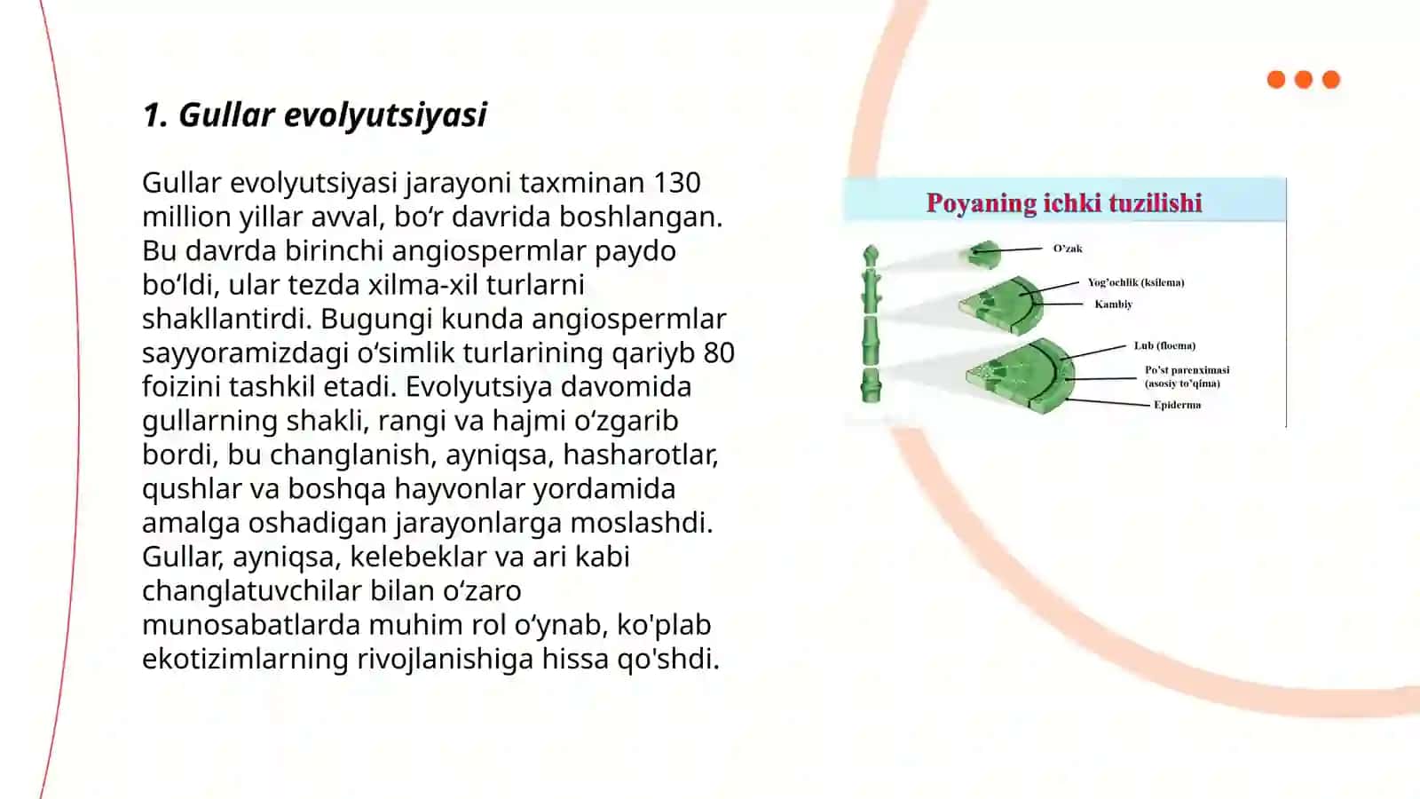 Gullarning kelib chiqishi va tuzilishi 3