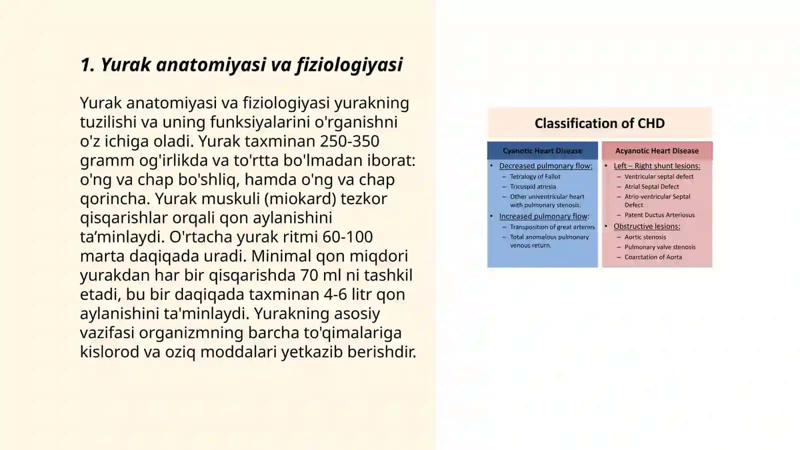 Yurak anatomiyasi va fiziologiyasi 3