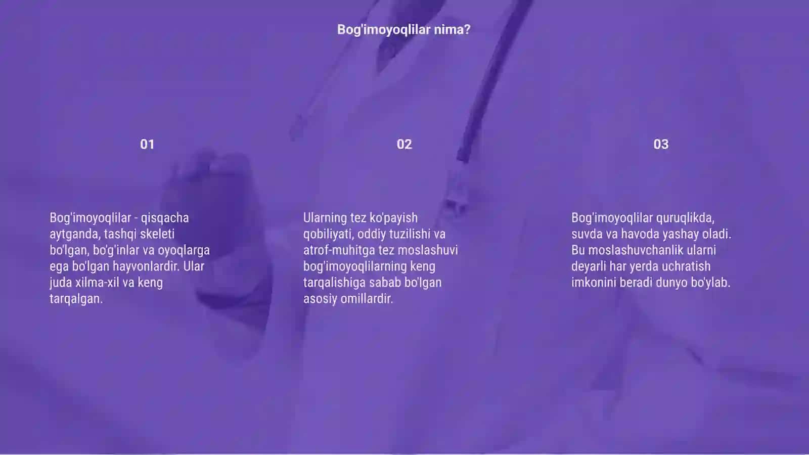 Bog'imoyoqlilarning keng tarqalish sabablari 3