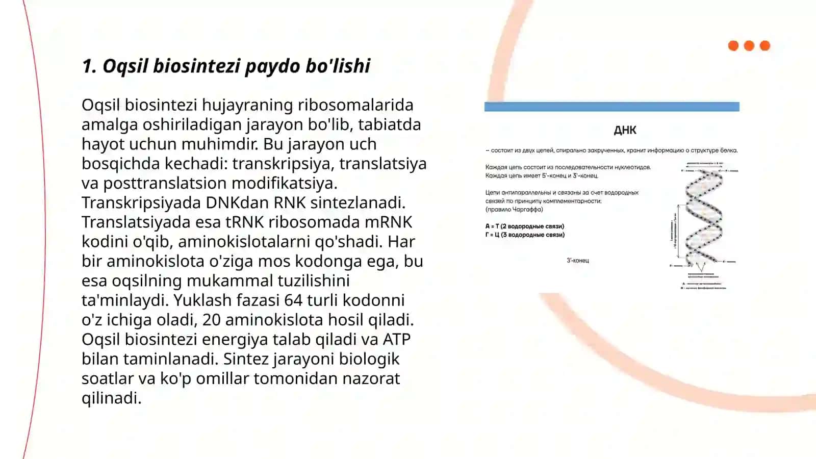 Oqsil biosintez jarayoni 3
