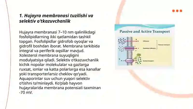 Hujayrada moddalar va energiya oqimi, informatsiyaning berilishi, Aktiv va passiv transport 3