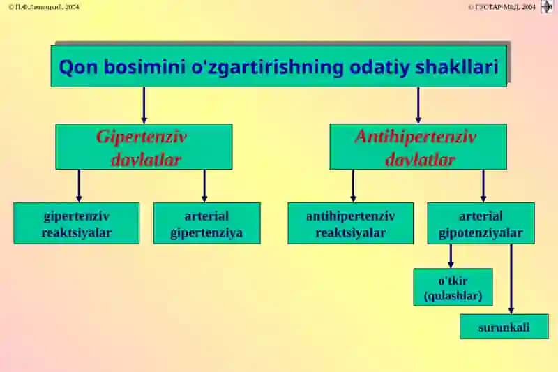 Arterialgipotenziya 3