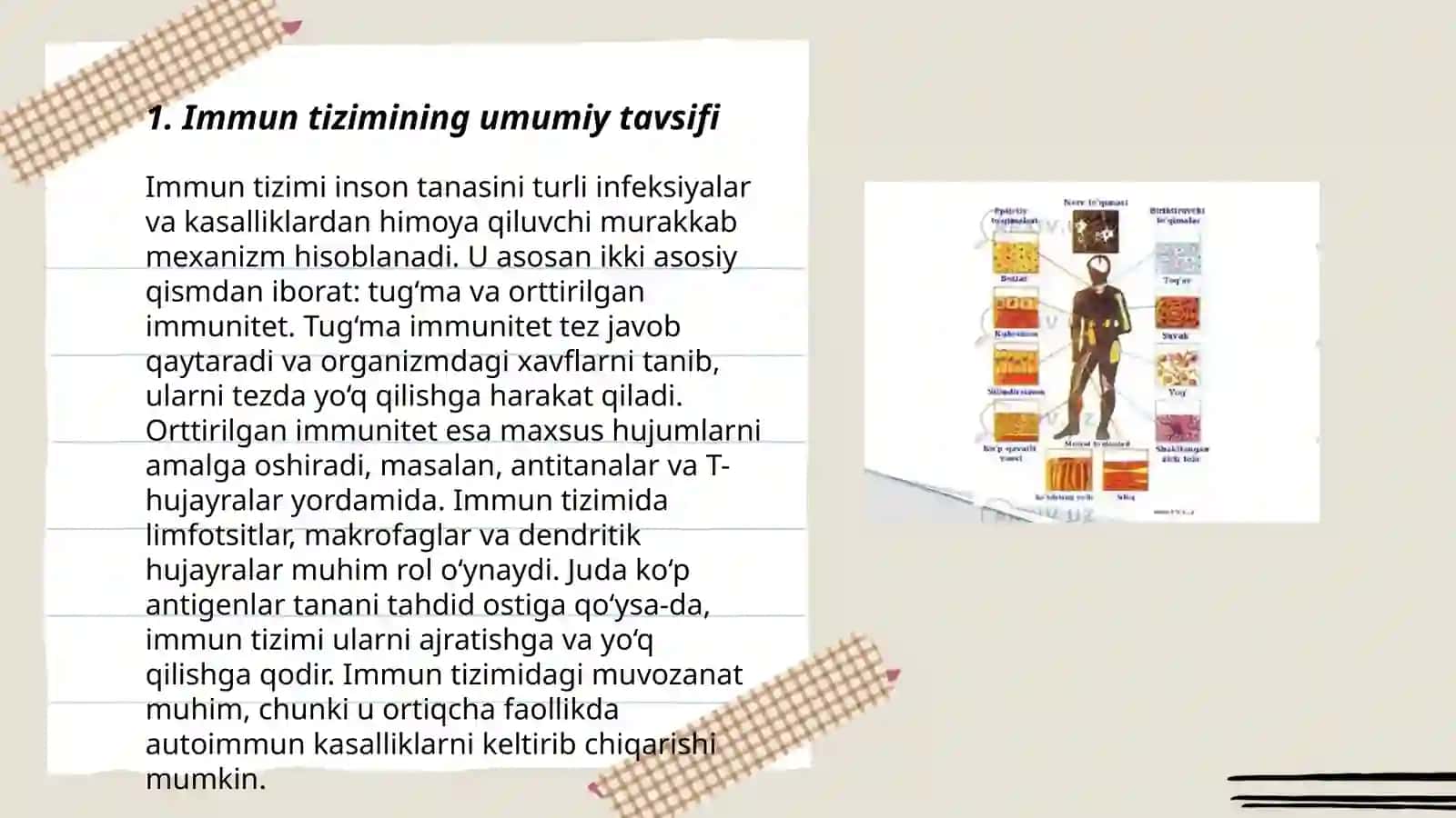 Immun tizimining tuzilishi va vazifalari 3