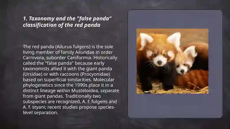 Red panda taxonomy and classification 3