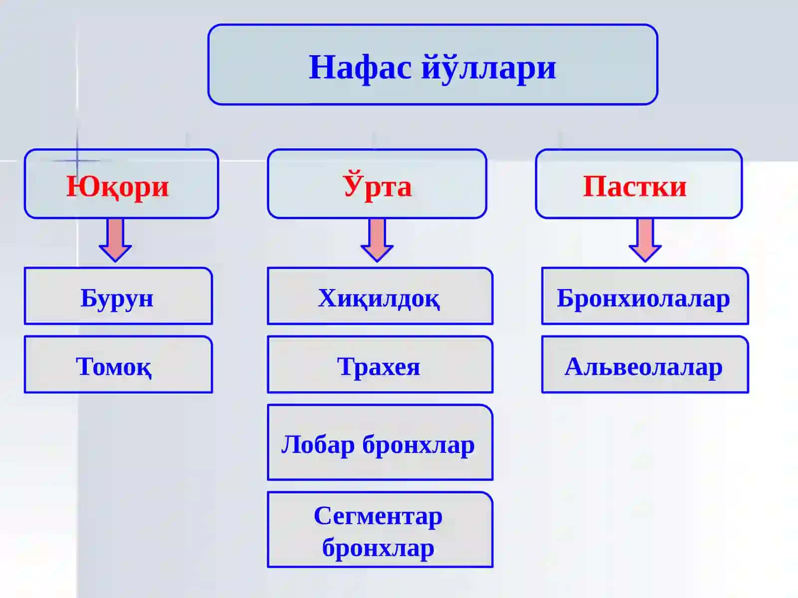 БОЛАЛАРДАПНЕВМОНИЯ 3
