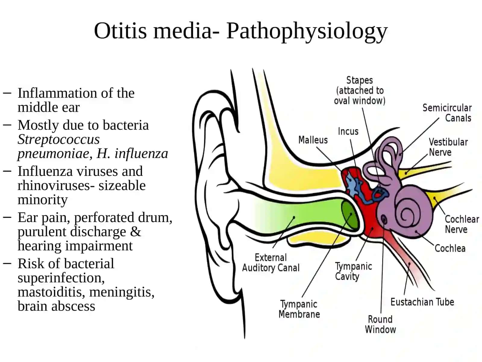 Ear Disorders 3