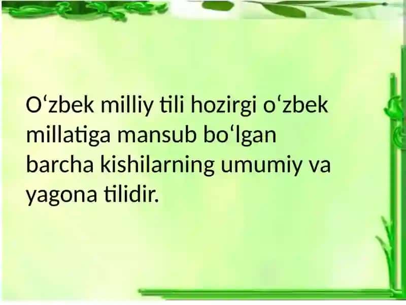 Milliy va adabiy til 3