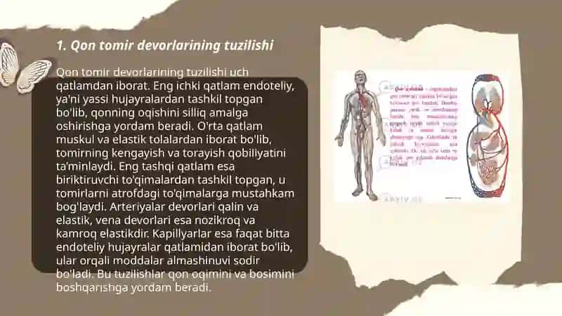Qon tomir devorlari orqali moddalar almashishining biofizikaviy mexanizmi 3