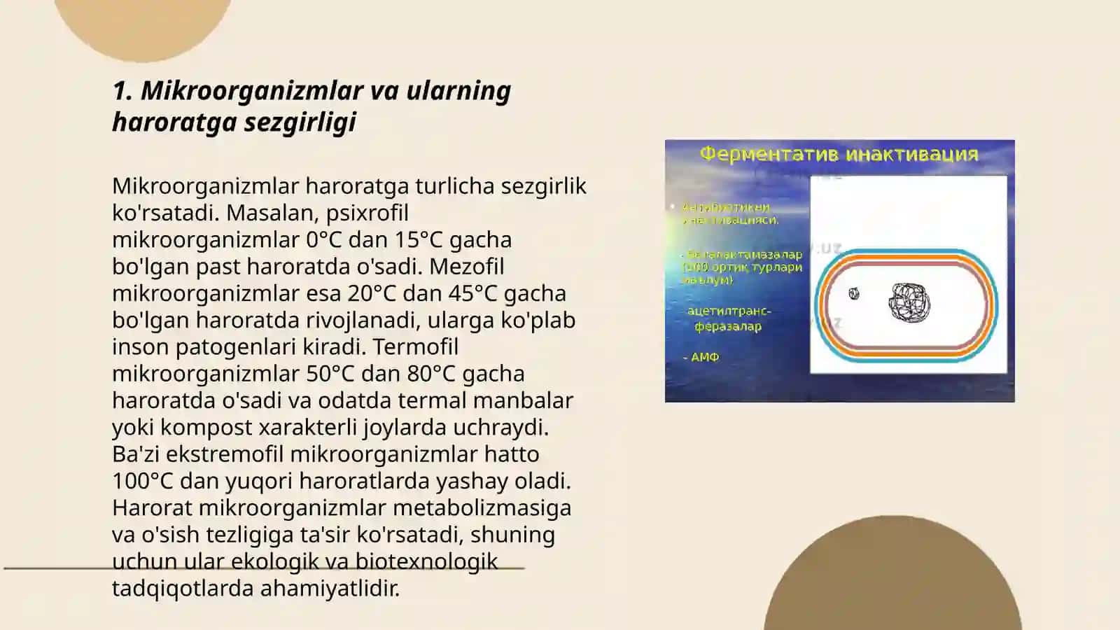 Mikroorganizmlarga muhit haroratining ta'siri 3