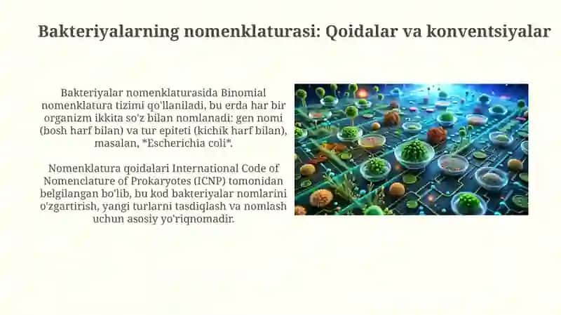 Bakteriyalarni klassifikatsiyasi, toksonomiyasi va nomenklaturasi 3