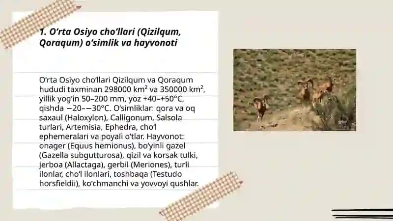 Oʼrta Osiyo oʼsimlik va hayvonot dunyosi 3