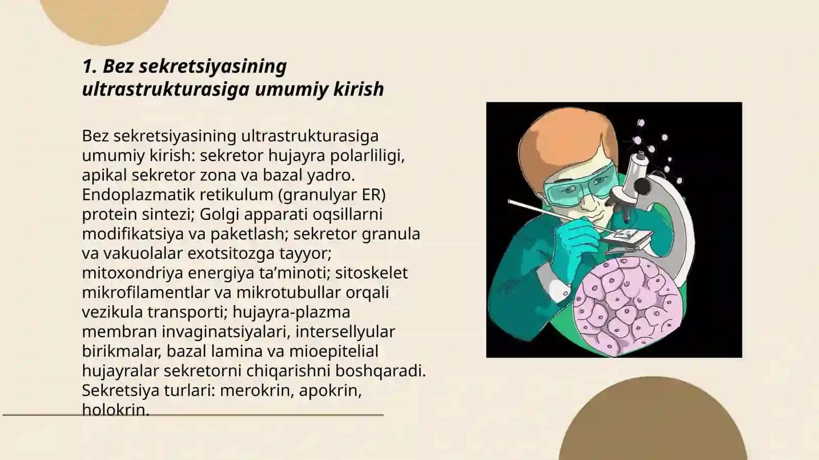 Mezenximaning tuzilishi va ahamiyati 3