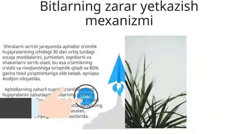 Shiralarga Qarshi Kurash Usullari 3