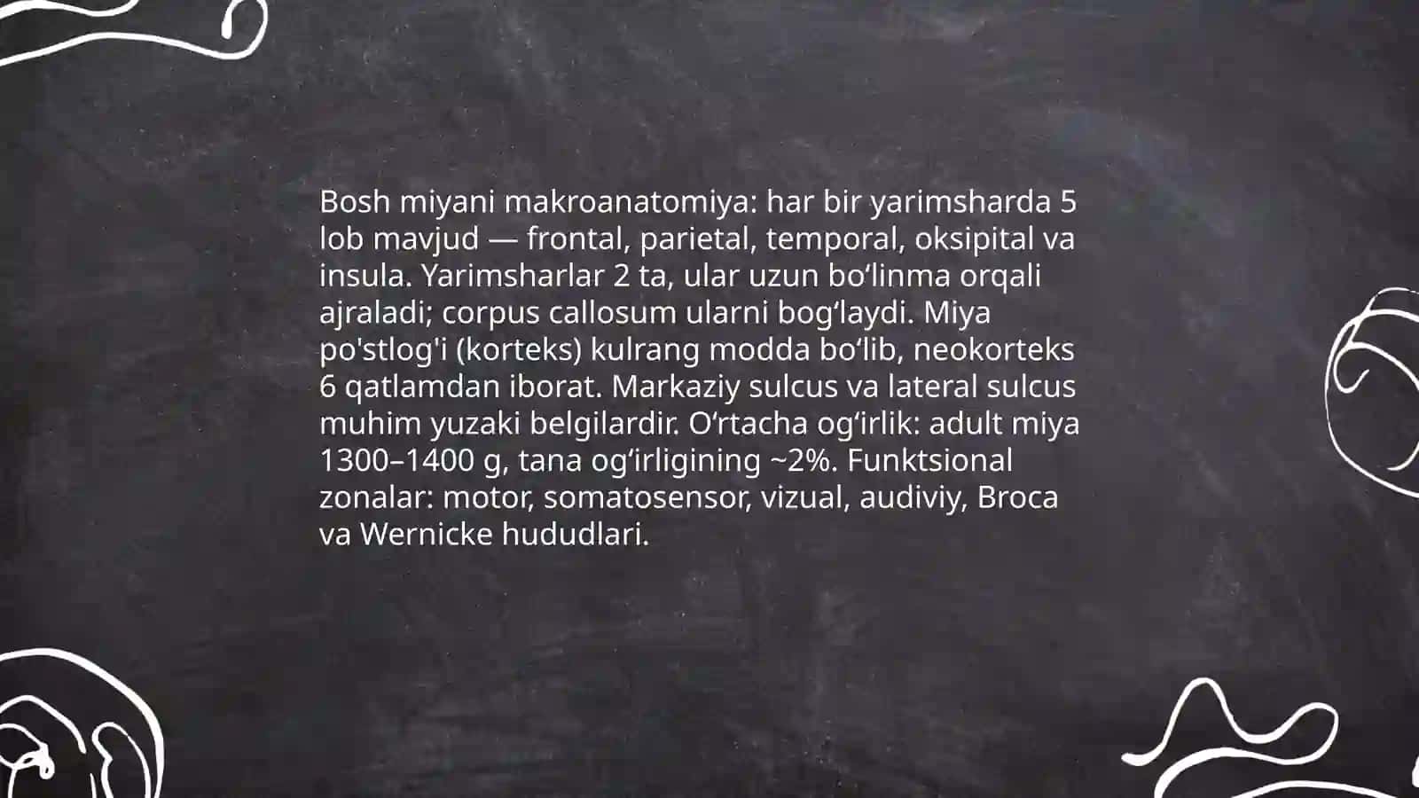 Inson bosh miya anatomiyasi, fiziologiya va patalogiyasi 3