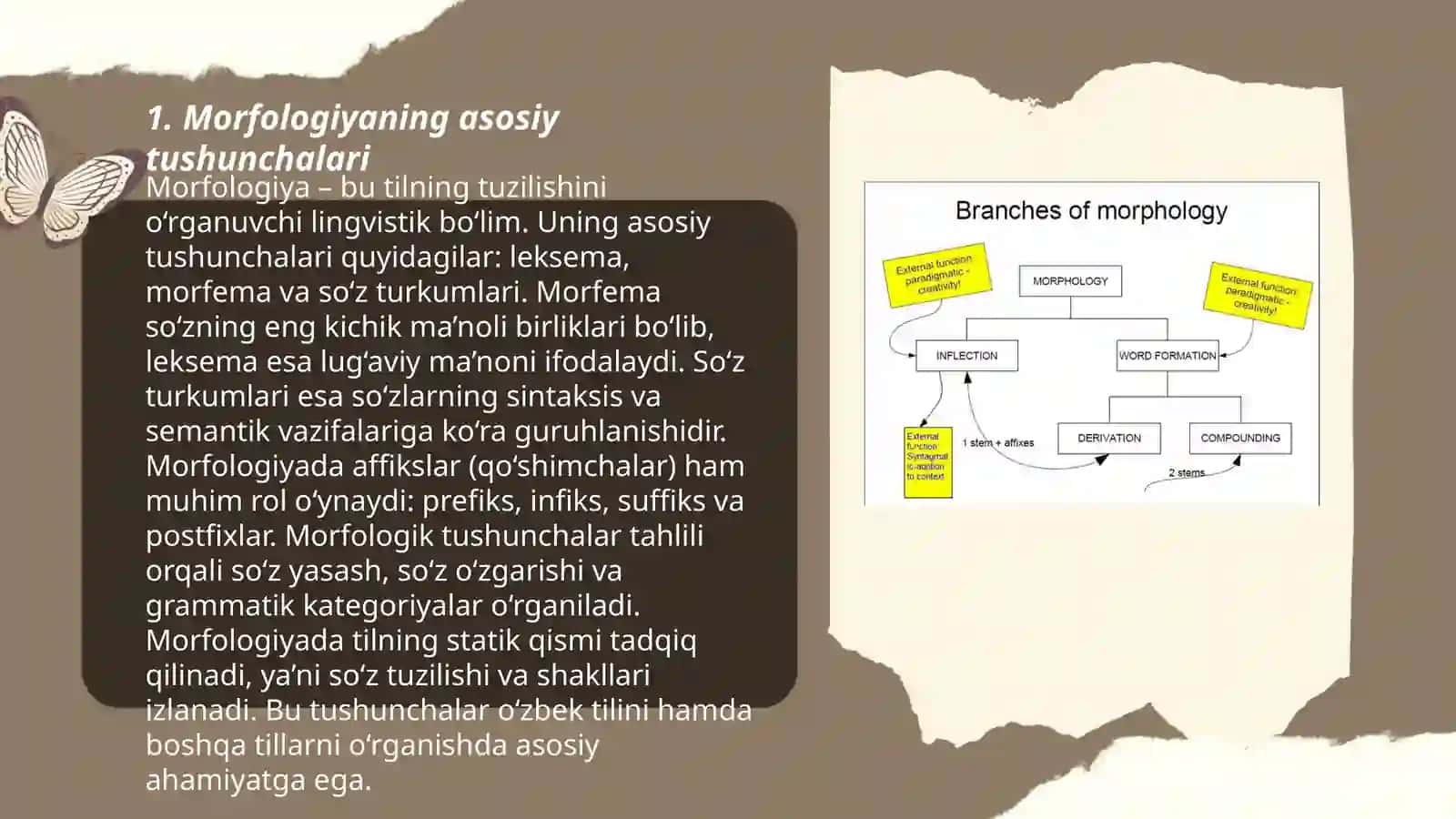 Morphology 3