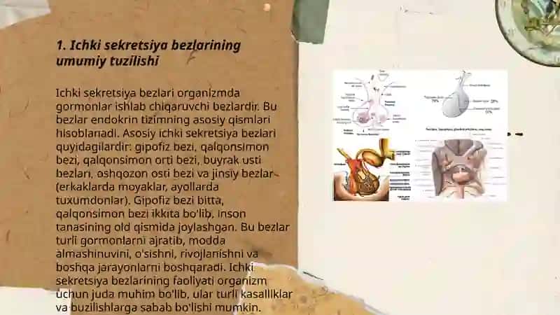 Ichki sekretsiya bezlari.Buyrak usti bezlari tuzilishi va fiziologiyasi.Glyukokortikoidlar, mineralakartikoidlar effektlari 3