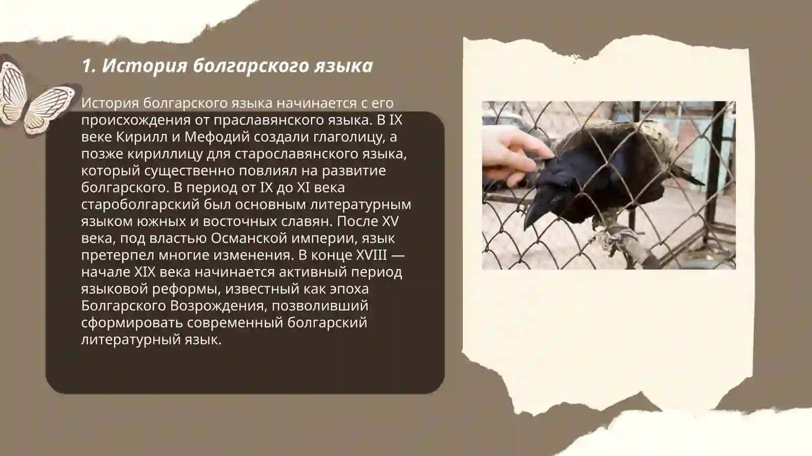 Болгарский язык 3