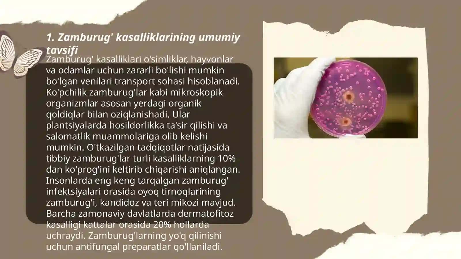 Zamburug' kasalliklari qo'zg'atuvchilari 3