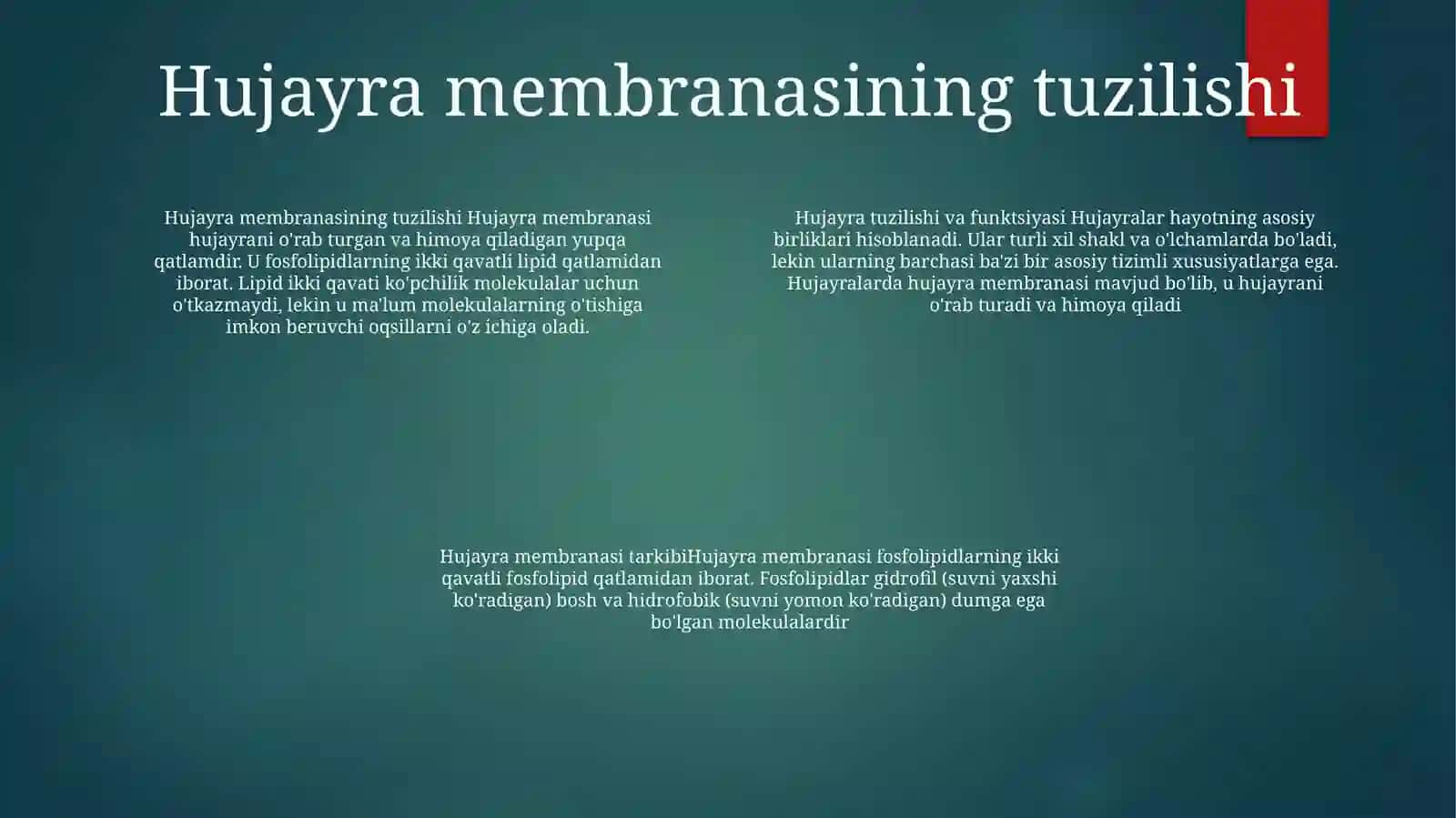 Hujayra Va Organellalarning Morfologik Jihatdan Tuzilmaviy Asosi 3