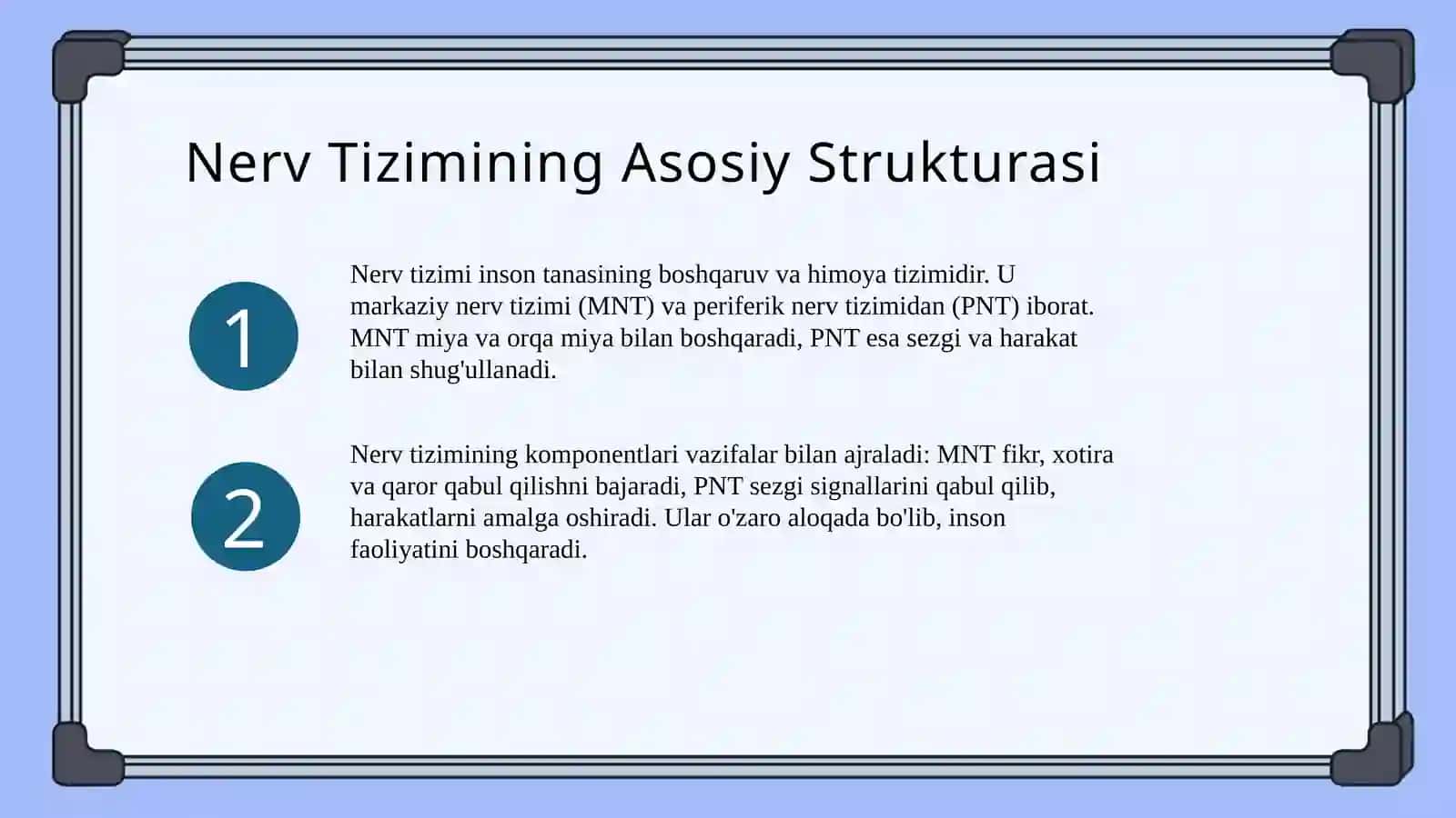 Eshtish analizatori nerv fiziologik asosi 3