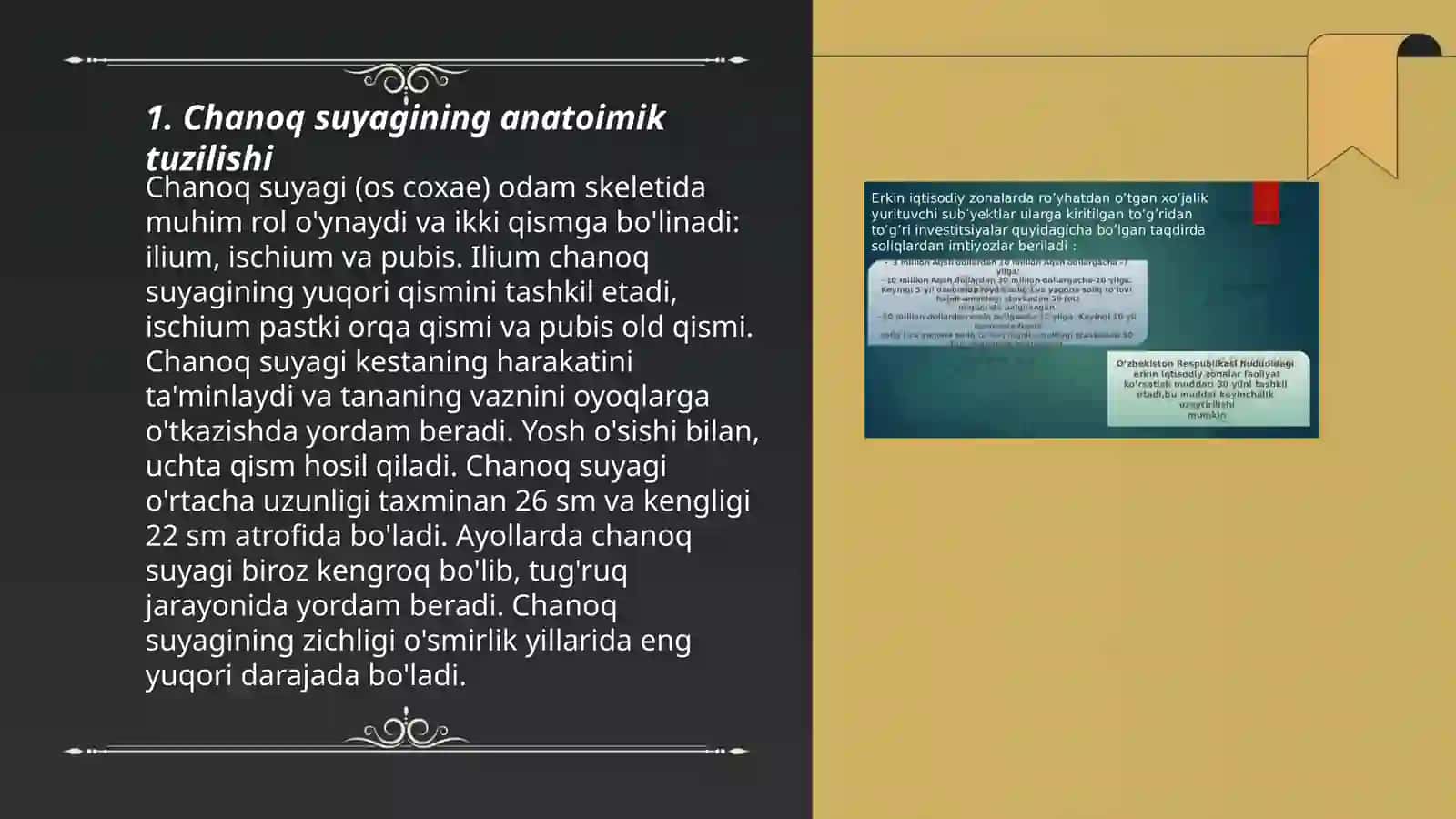 Chanoq suyagi va erkin suyaklar: kaft usti suyagi va barmoqlari 3