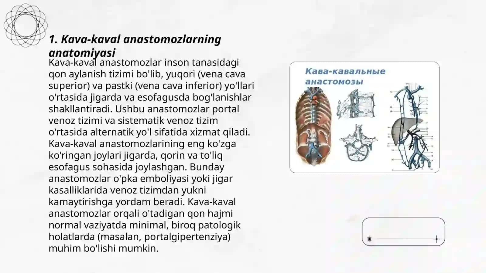 Kava-kaval, porto-kaval anastomozlar 3