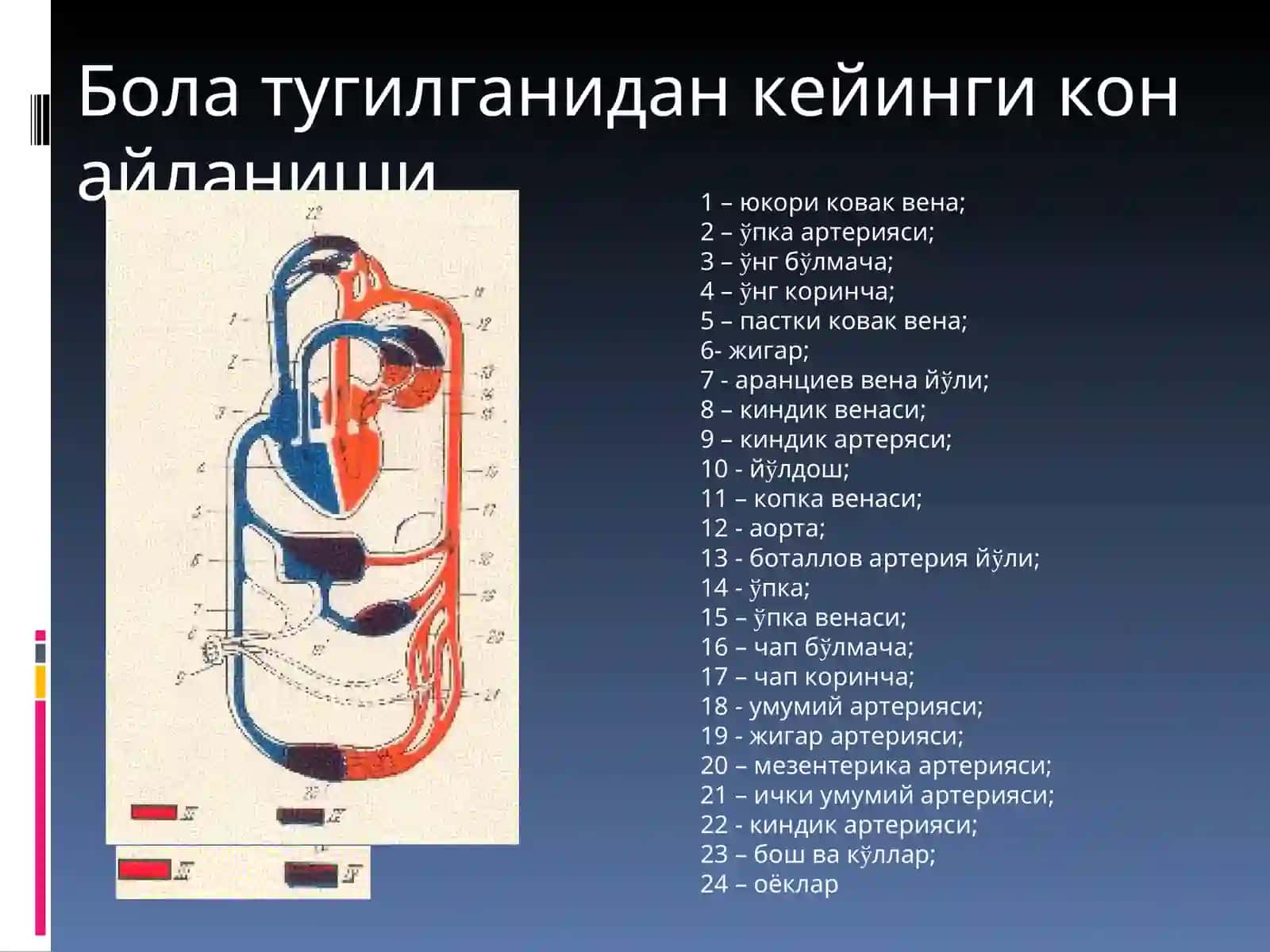 Юракда шовкин синдроми: тугма ва орттирилган юрак нуксонлари 3