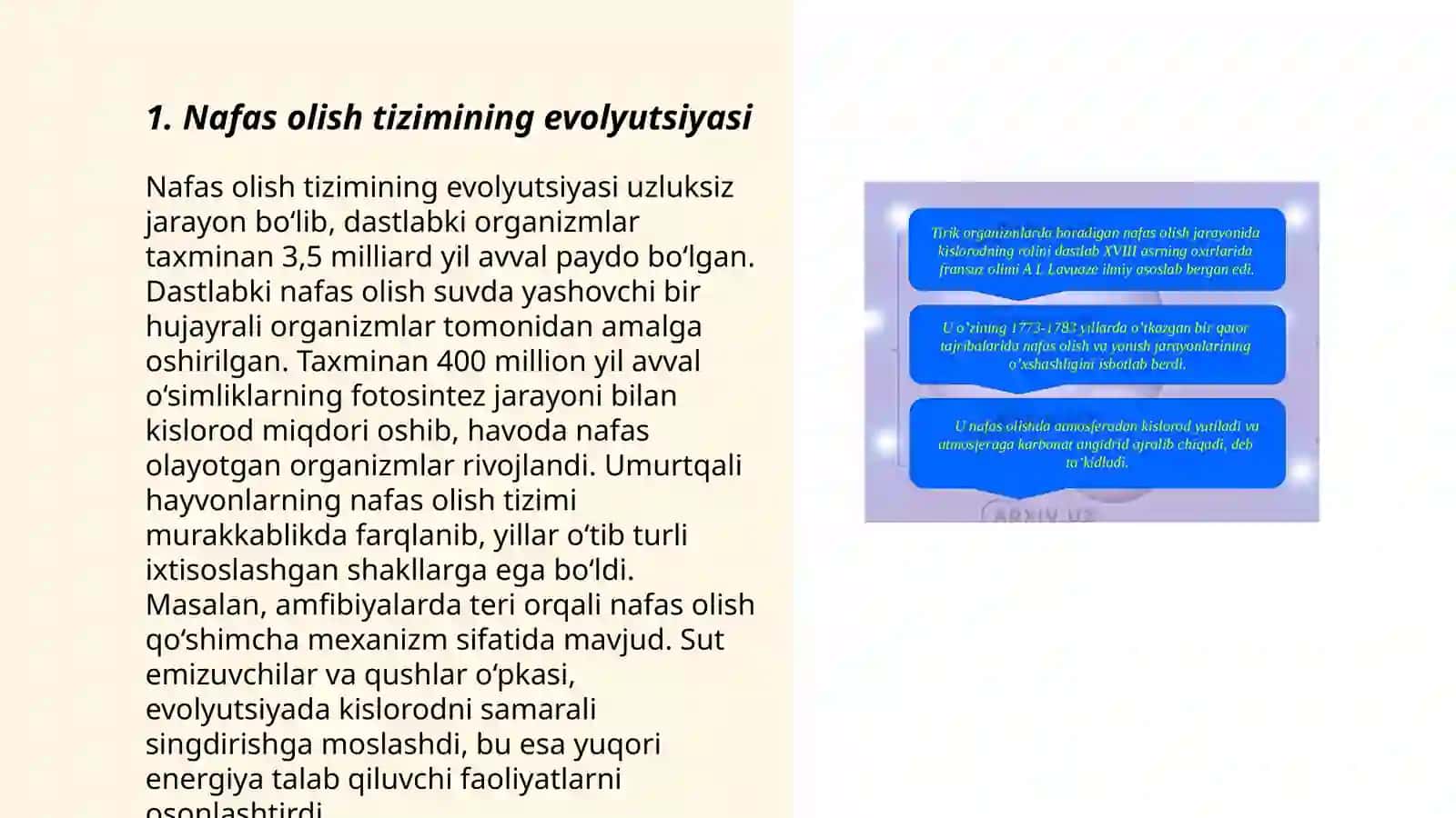 Nafas olish tizimining qiyosiy gistalogik tavsifi 3