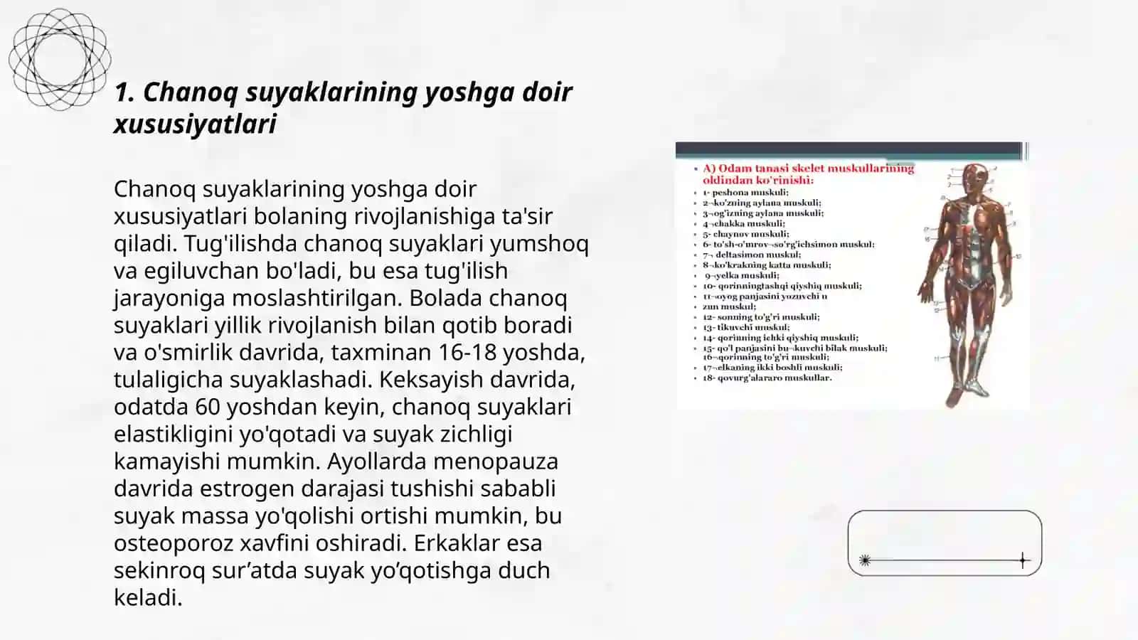 Chanoq va oyoq suyaklarining yoshga nisbatan xususiyatlari 3
