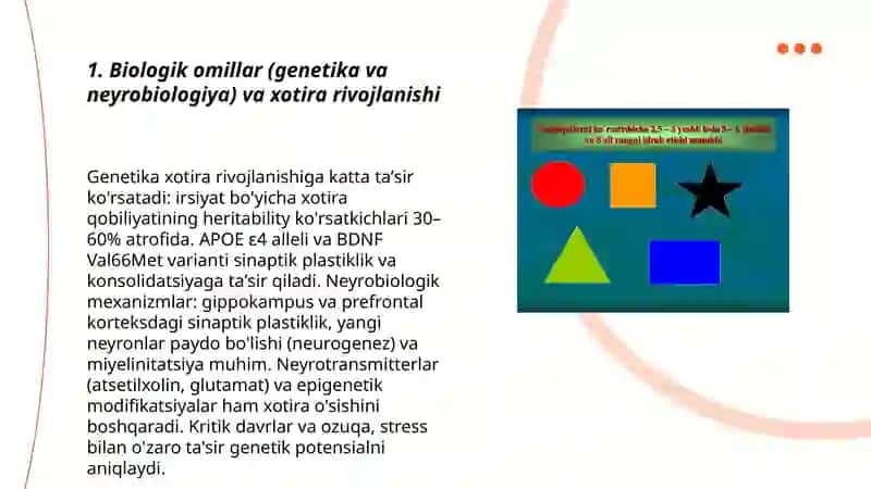 Xotira rivojining asosiy omillari va shart - sharoitlari 3