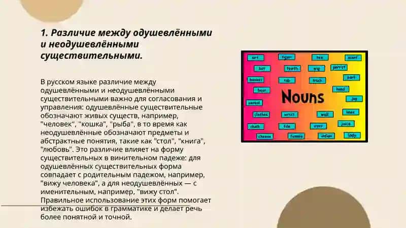 Одушевлённые и неодушевлённые существительные 3